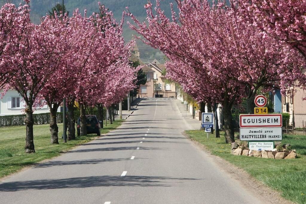 Gite A Eguisheim Proche De Colmar Et Kaysergberg. Eksteriør billede