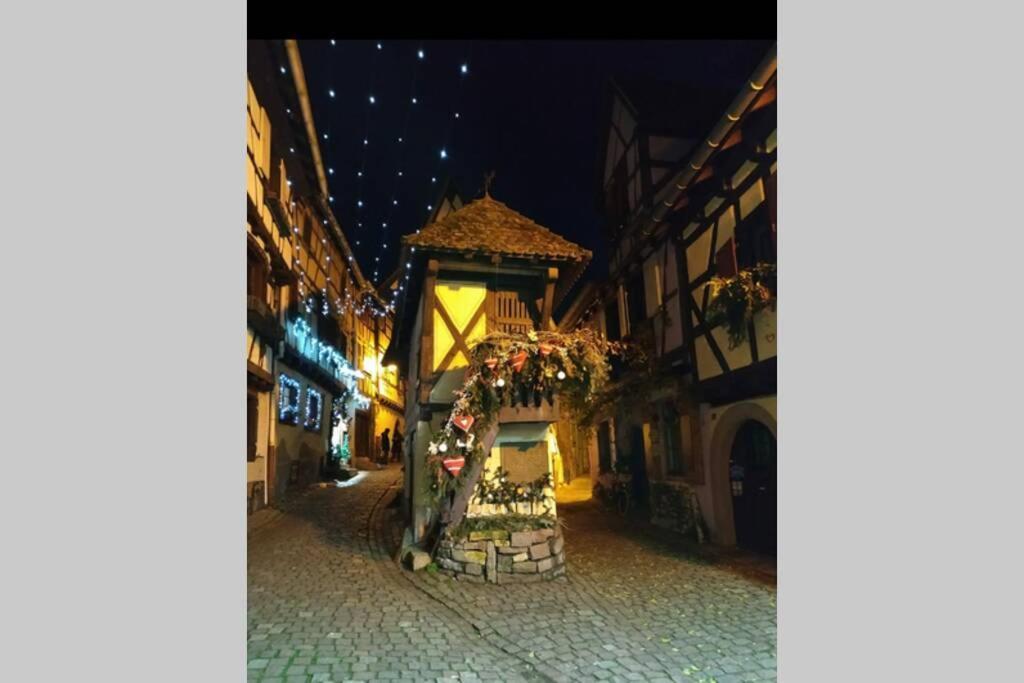 Gite A Eguisheim Proche De Colmar Et Kaysergberg. Eksteriør billede