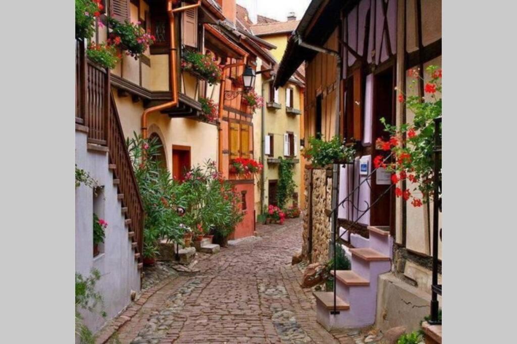 Gite A Eguisheim Proche De Colmar Et Kaysergberg. Eksteriør billede