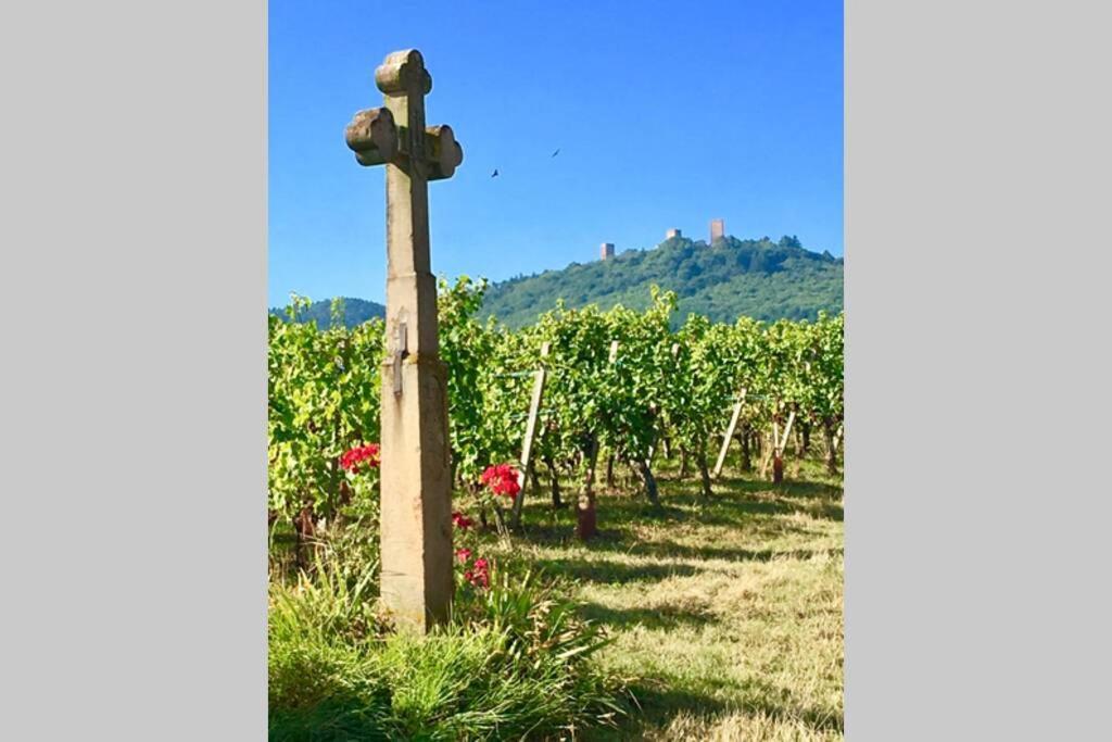 Gite A Eguisheim Proche De Colmar Et Kaysergberg. Eksteriør billede