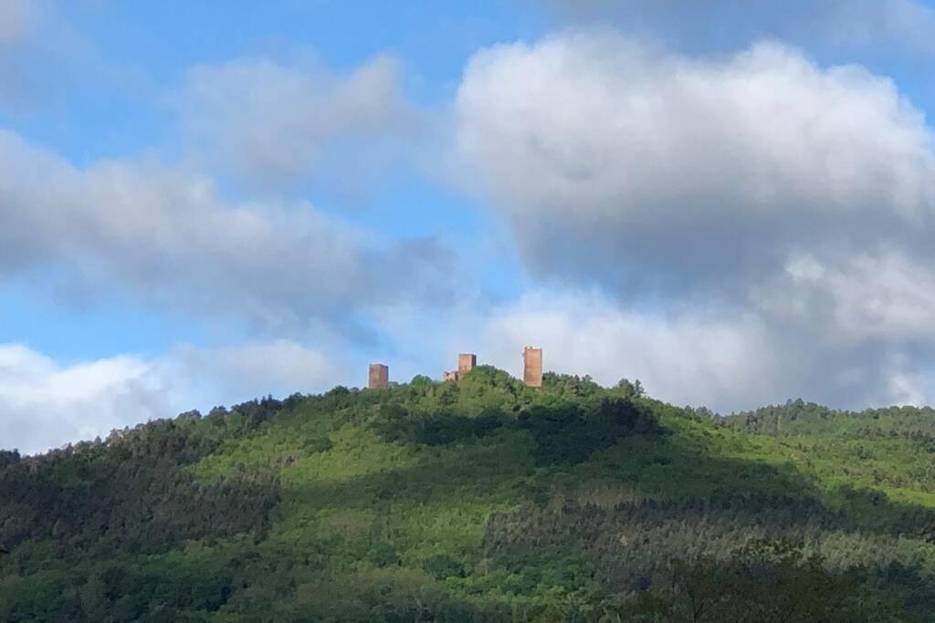 Gite A Eguisheim Proche De Colmar Et Kaysergberg. Eksteriør billede